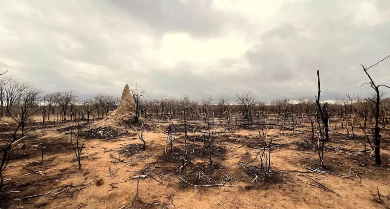 The Newest ‘Naked and Afraid’ Spinoff Off Might Be a Major Flop