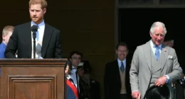 The Sign Prince Harry and King Charles’ Reps ‘Don’t See Eye to Eye’ After ‘Peace Summit’ Meeting