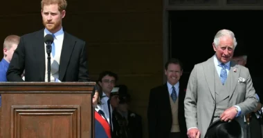 The Sign Prince Harry and King Charles’ Reps ‘Don’t See Eye to Eye’ After ‘Peace Summit’ Meeting