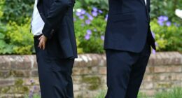 Royal sources say the chances of William finding working royal roles for Prince Archie and Princess Lilibet when he is king are remote due to his fierce falling out with Harry