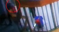 The footage, released as part of the investigation, appears to shows the orange-clad paedophile being led to his cells by a guard and being trailed by a second one