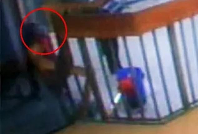 The footage, released as part of the investigation, appears to shows the orange-clad paedophile being led to his cells by a guard and being trailed by a second one