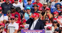 Trump grabbed at the side of his head as he appeared to be hit