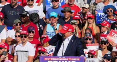 Trump grabbed at the side of his head as he appeared to be hit