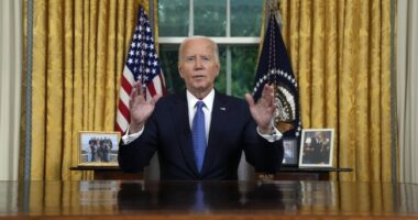 Too Fun to *Not* Check: Ninth Circuit Rules Biden Didn't Know What He Was Talking About