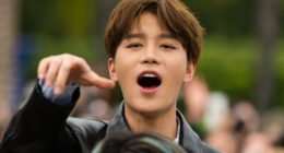 Top K-pop star Moon Tae-il, 31, gang-raped tourist with two other men after meeting victim in bar