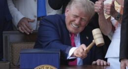 Trump: 'No Amnesty' -- But ...