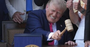Trump: 'No Amnesty' -- But ...