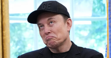 Trump Hits The Bullseye Of Former BFF Elon Musk's Ego With Reported New 'First Buddy'