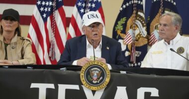 Trump Orders ICE to Arrest Brick-Throwing Activists