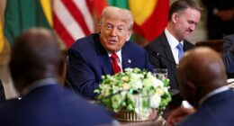 President Donald Trump's quest to end birthright citizenship took a blow