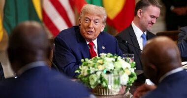 President Donald Trump's quest to end birthright citizenship took a blow