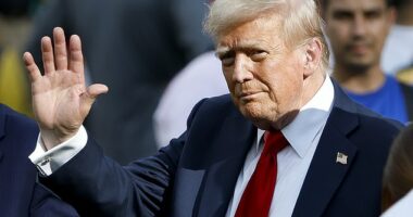 President Donald Trump posted a series of images, videos and text to his Truth Social on Sunday in marking his six month anniversary of being back in office