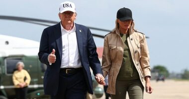 President Donald Trump was furious about people throwing rocks at ICE agents during the Thursday raid of a cannabis farm in Camarillo, a city in Southern California