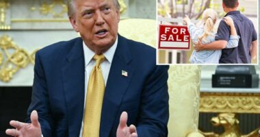 Trump says he may eliminate capital gains tax on home sales
