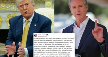 Trump terminates federal funding for California’s $135B high-speed rail ‘boondoggle’: ‘TRAIN TO NOWHERE’ 