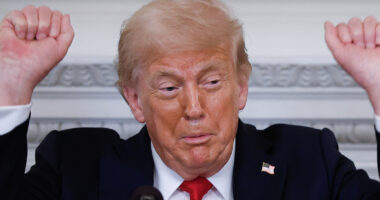 Trump's Gaping Bald Spot Suggests His Hair Is Paying The Price Of Elon Breakup