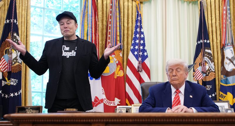 Trump's Scathing Truth Social Takedown Of Elon Musk Reheats Their Fiery Feud