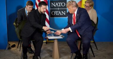 Trump’s weapons deal for Ukraine plus new sanctions for Russia could be a game-changer