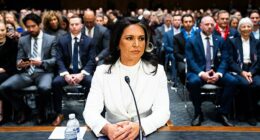 Director of National Intelligence Tulsi Gabbard has released a 2020 report by the Republican-run House Intel Committee that picks apart a 2017 Intelligence Community assessment of Russian election interference