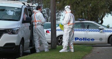 Two bodies have been found inside a home in Sydney's south on Friday