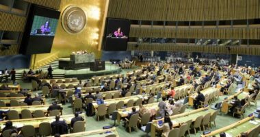 UN Blames Capitalism for Israel-Hamas War