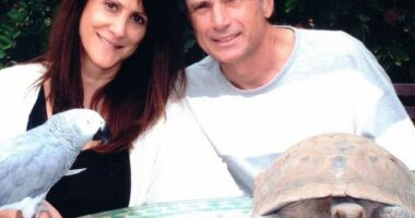 UPDATE: Suspect Arrested After ‘American Idol’ Exec. & Husband Are Found Murdered in Home