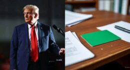 US to revoke green cards from Nigerians, other nationals