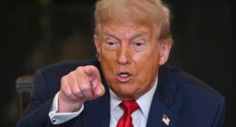 Donald Trump (pictured) is expected to pledge more weapons to support Ukraine after Russia targeted areas close to Nato territory over the weekend