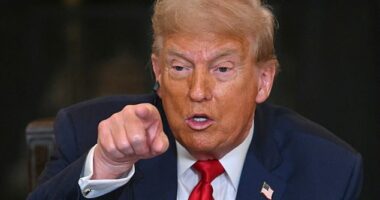 Donald Trump (pictured) is expected to pledge more weapons to support Ukraine after Russia targeted areas close to Nato territory over the weekend