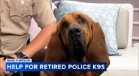 Upcoming fundraiser helps MARK-9 support retired K-9 heroes