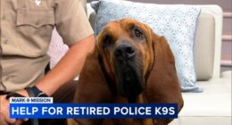 Upcoming fundraiser helps MARK-9 support retired K-9 heroes
