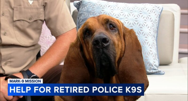 Upcoming fundraiser helps MARK-9 support retired K-9 heroes