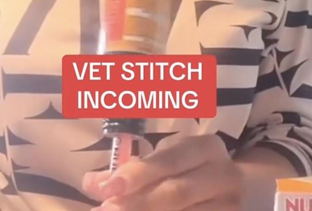 A video on TikTok (pictured) suggested pet owners can save money by giving their animals human medication - but this is dangerous advice, according to a vet