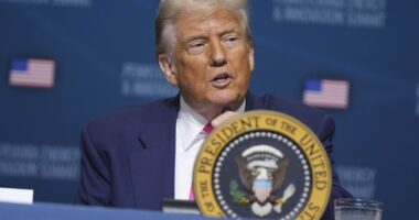 WATCH: A Reporter Tried to Corner Trump and Then Regretted It
