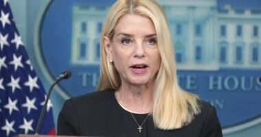 White House Responds to DOJ Infighting Over Epstein Files