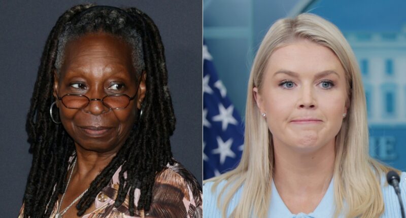 Whoopi Goldberg Apparently Can't Stand Karoline Leavitt & Here's Why