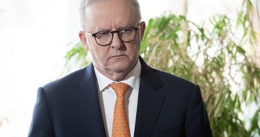 Anthony Albanese 's plan to impose a new tax on super balances above $3million is likely to hit more than five million young Australians by retirement and not just 80,000 people as Labor claims, new analysis shows