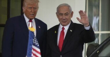 Will Trump and Netanyahu Convince Arab States to Relocate Gazans?