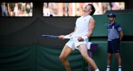 Wimbledon: Shelton vs. Sinner odds, picks, and prediction