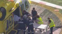 Paramedics treat a woman who has had her arm ripped off following a horrific lion attack at a Queensland zoo