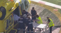 Paramedics treat a woman who has had her arm ripped off following a horrific lion attack at a Queensland zoo
