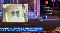 Woman on stroll with dogs and boyfriend gunned down by 21-year-old who pulled up in car and 'accosted the couple' before opening fire: Cops
