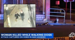 Woman on stroll with dogs and boyfriend gunned down by 21-year-old who pulled up in car and 'accosted the couple' before opening fire: Cops