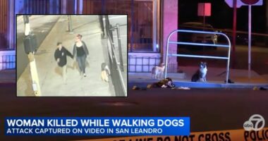 Woman on stroll with dogs and boyfriend gunned down by 21-year-old who pulled up in car and 'accosted the couple' before opening fire: Cops