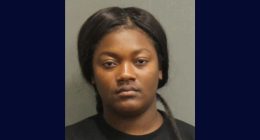 Woman used bug foggers to smoke out family, including 4-year-old child, from apartment in order to evict them: Cops
