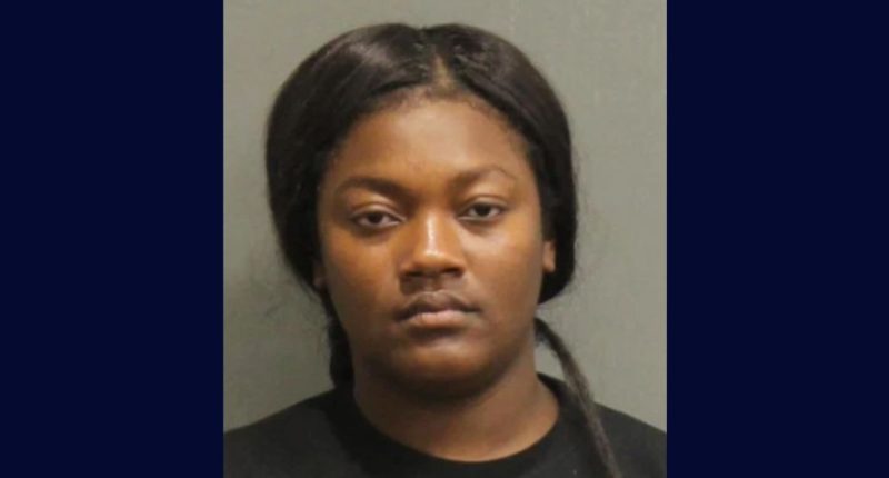 Woman used bug foggers to smoke out family, including 4-year-old child, from apartment in order to evict them: Cops