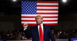 Words Without Weight: When Insults Are All the Left Has Left