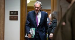 You Can Get a Job in This Senator’s Office, Unless…