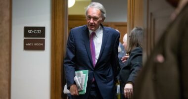 You Can Get a Job in This Senator’s Office, Unless…